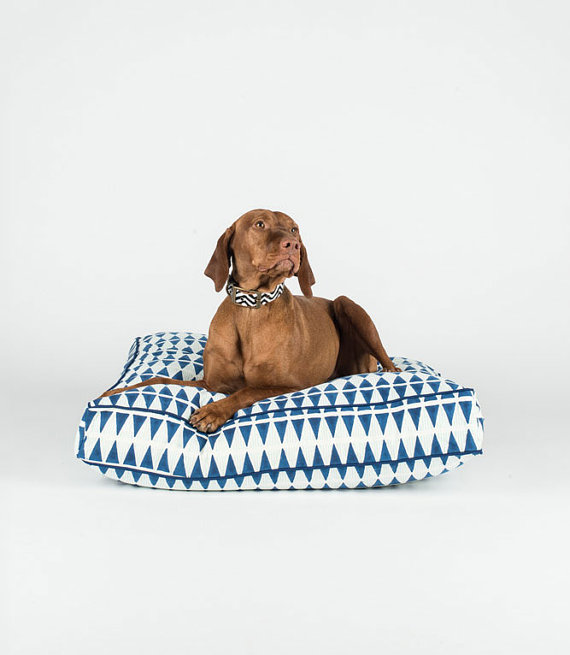 dog3