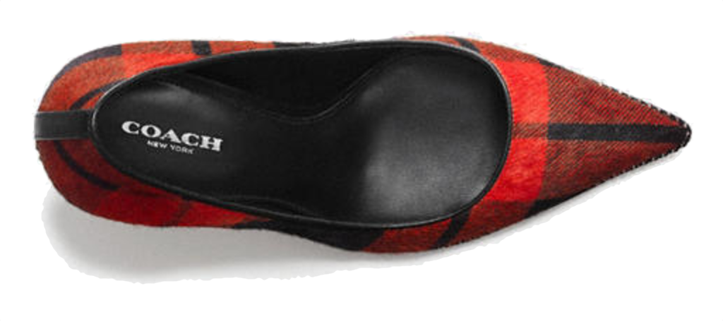 shoe