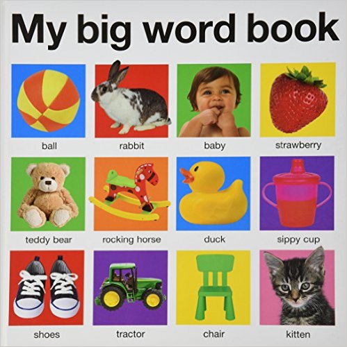The Fashion Magpie My Big Word Book