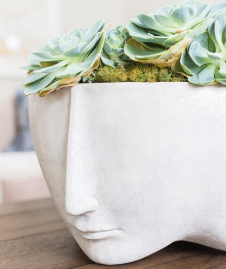 Succulent Face Planter