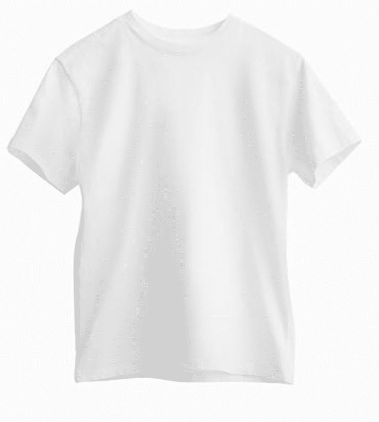 The Fashion Magpie Hanes Tshirt x Karla