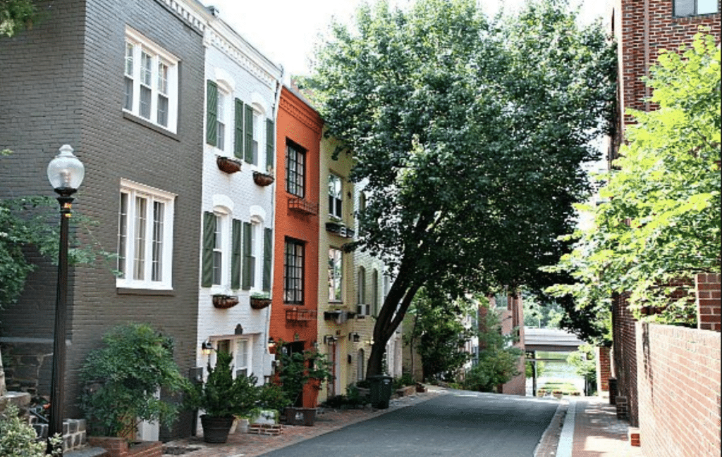 The Fashion Magpie DC