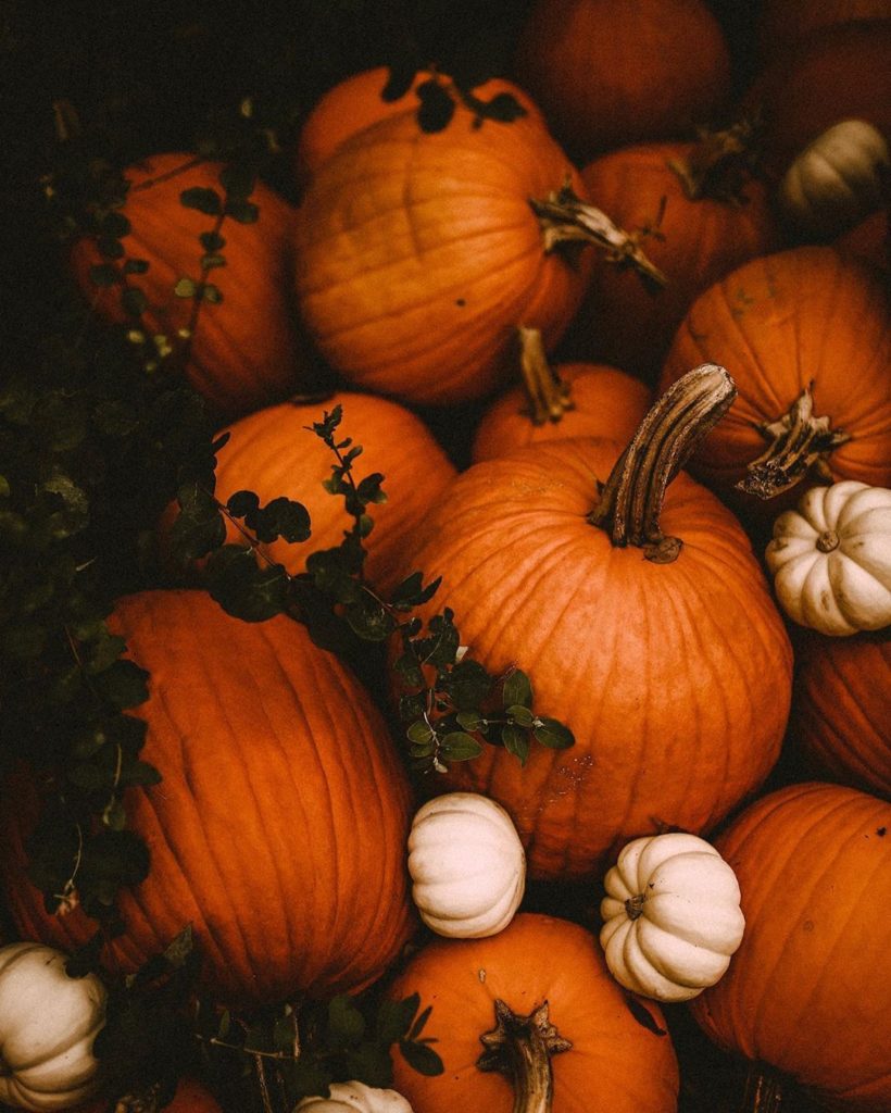 pile of pumpkins