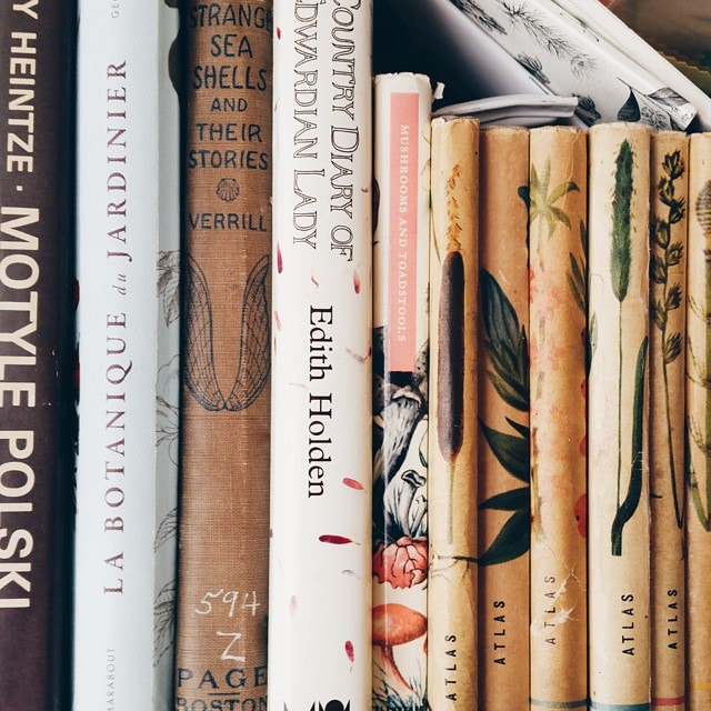 book shelf