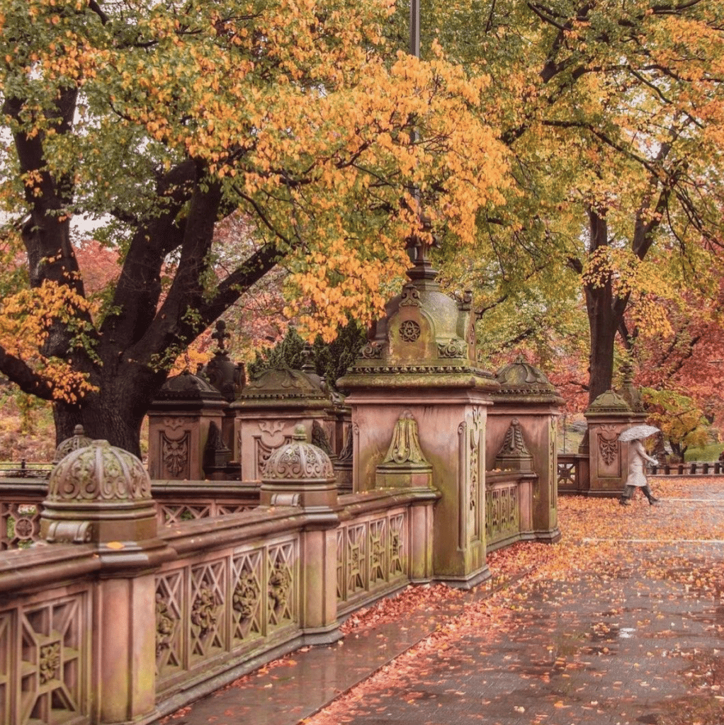 central park rainy fall day