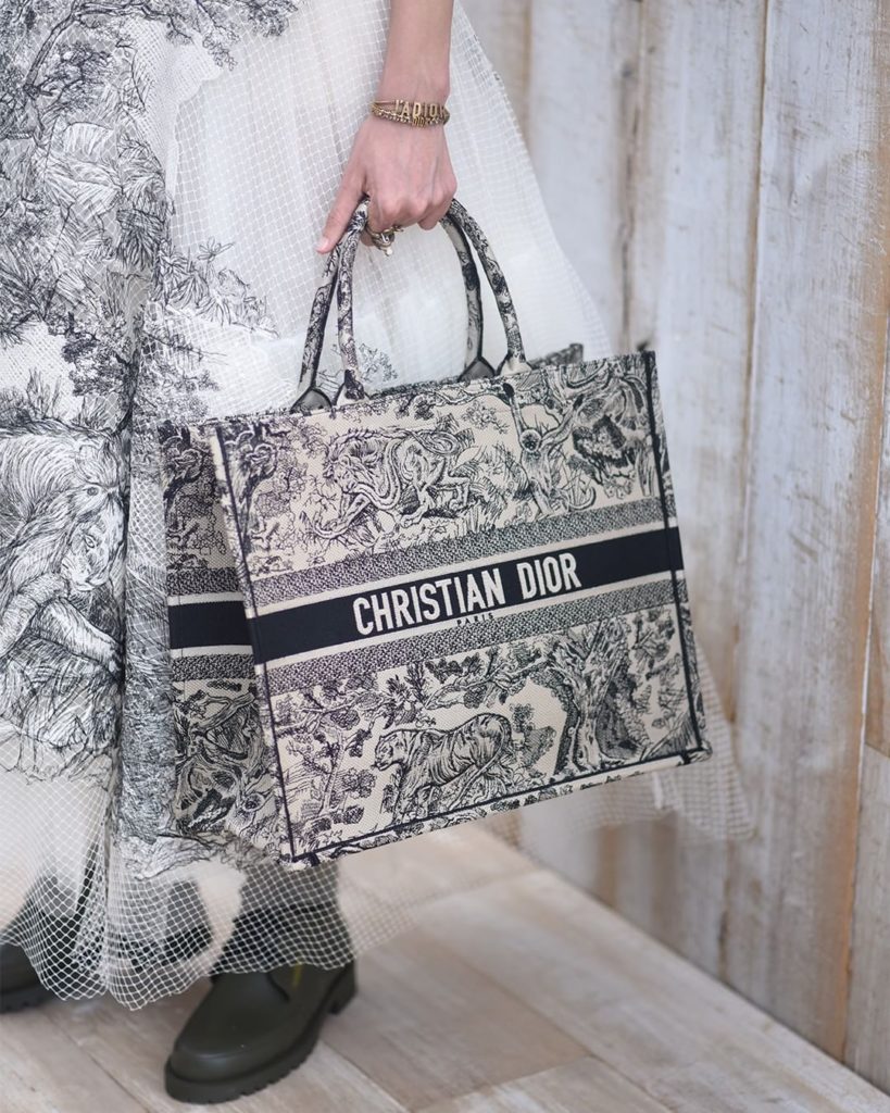 dior toile accessories
