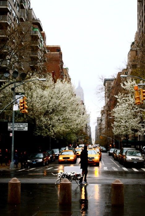 new york in the rain