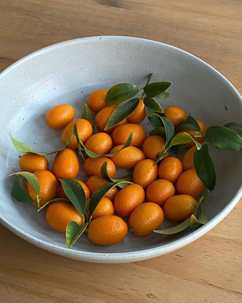everlane sale