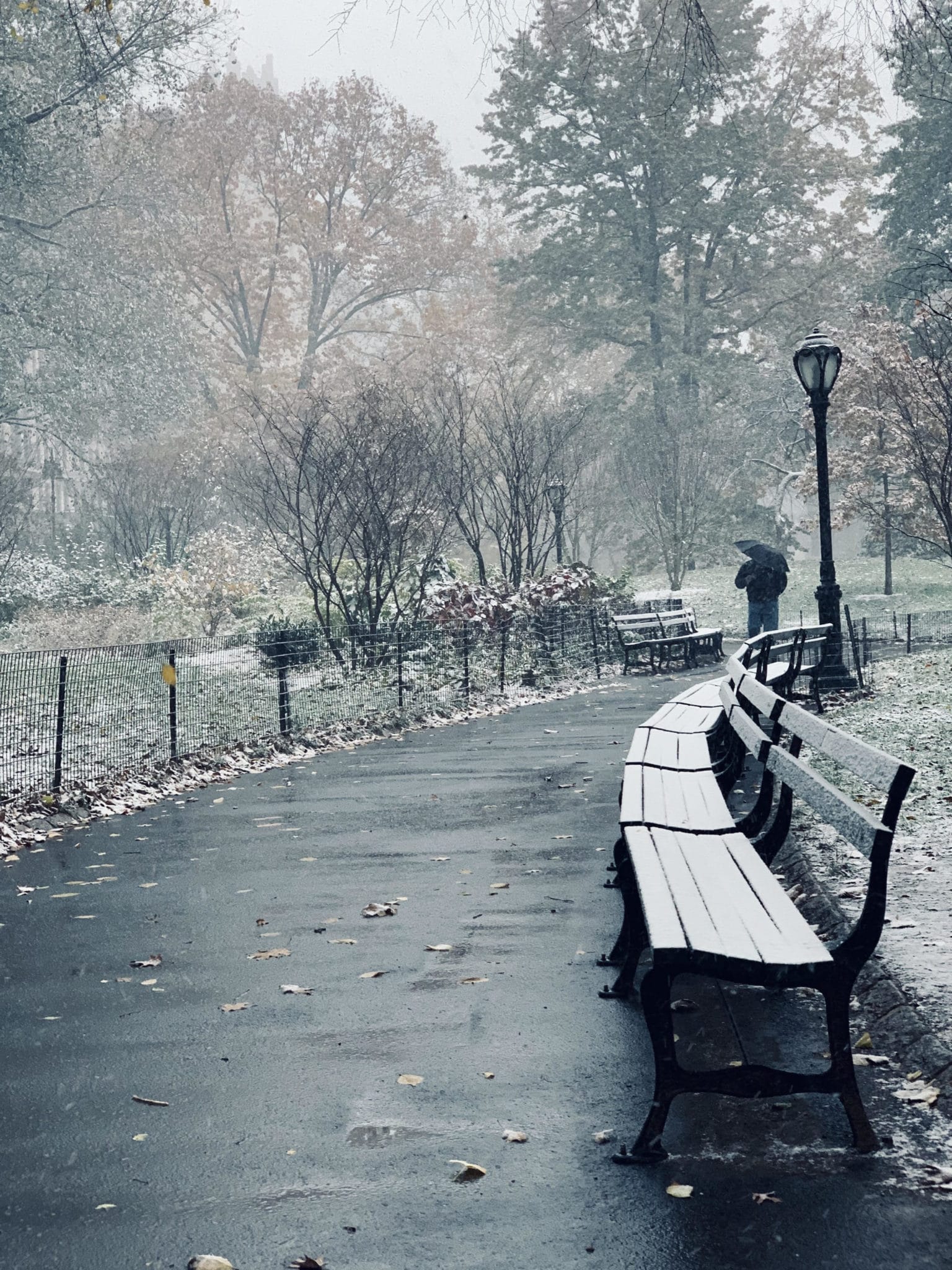 central park in snow