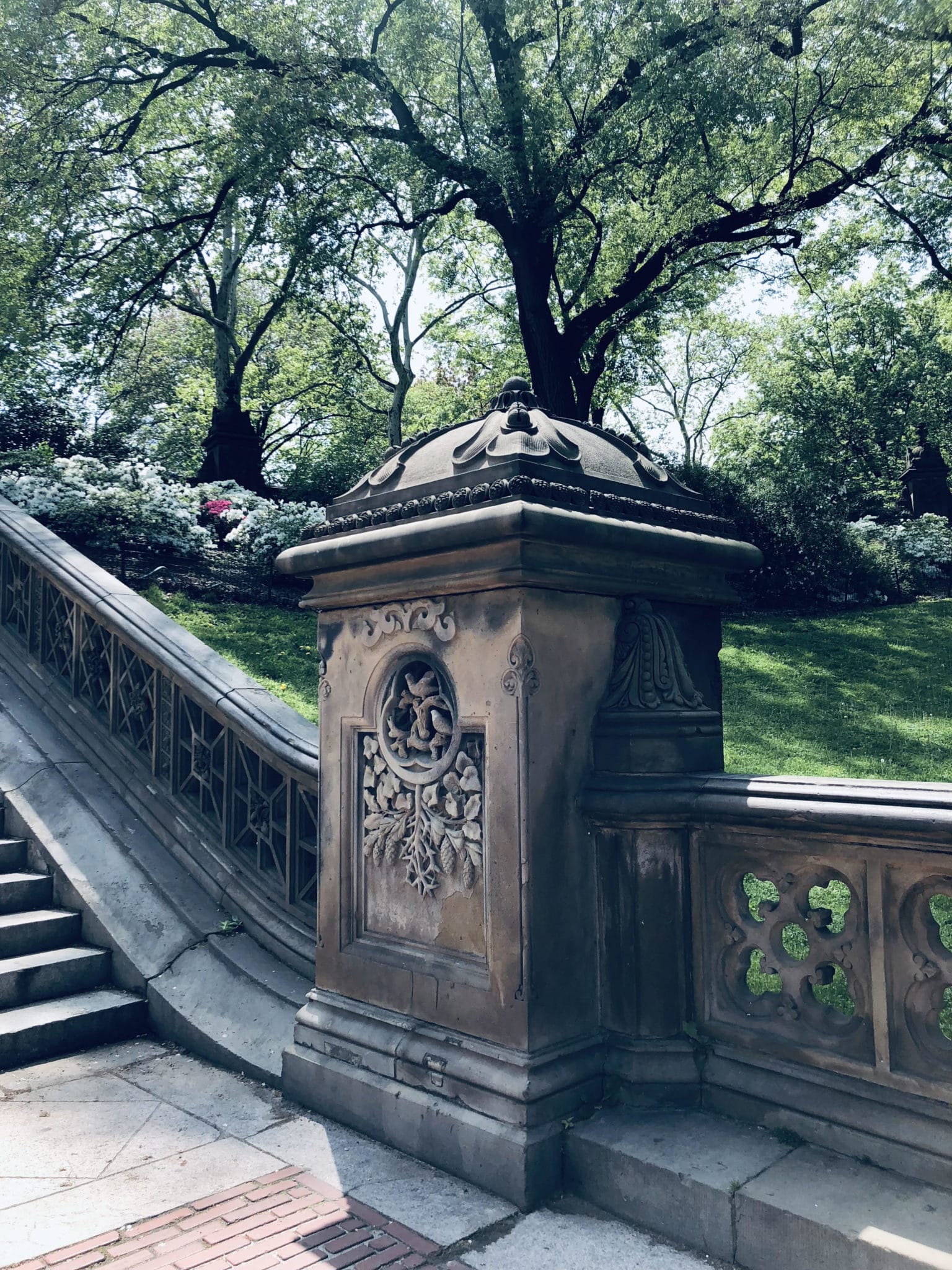 central park in summer