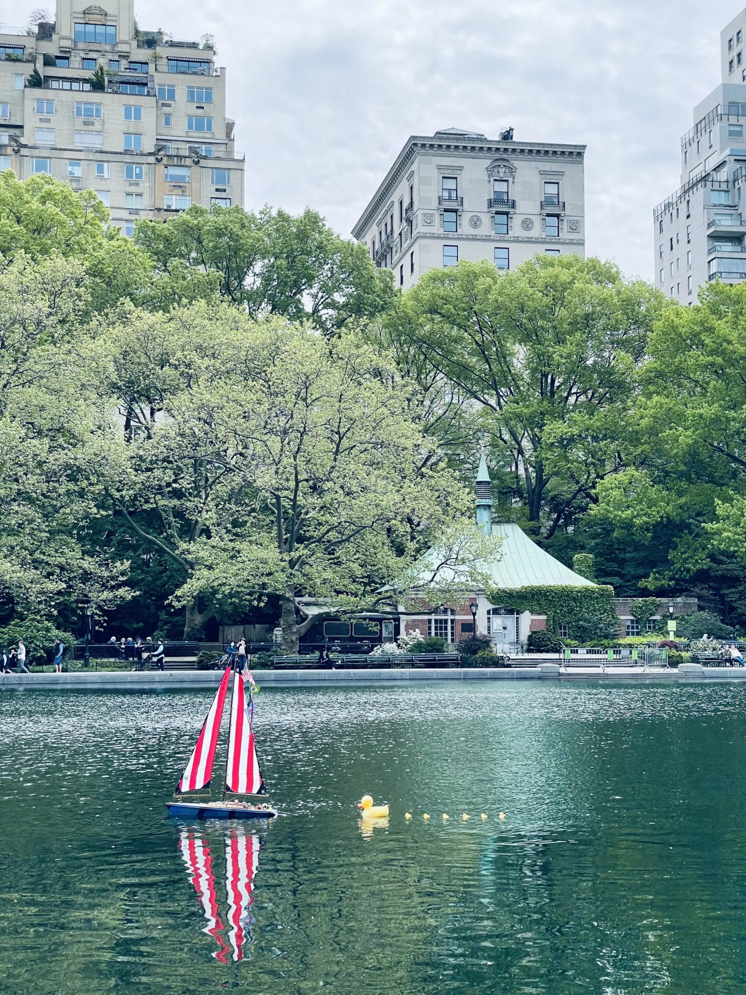 central park in summer
