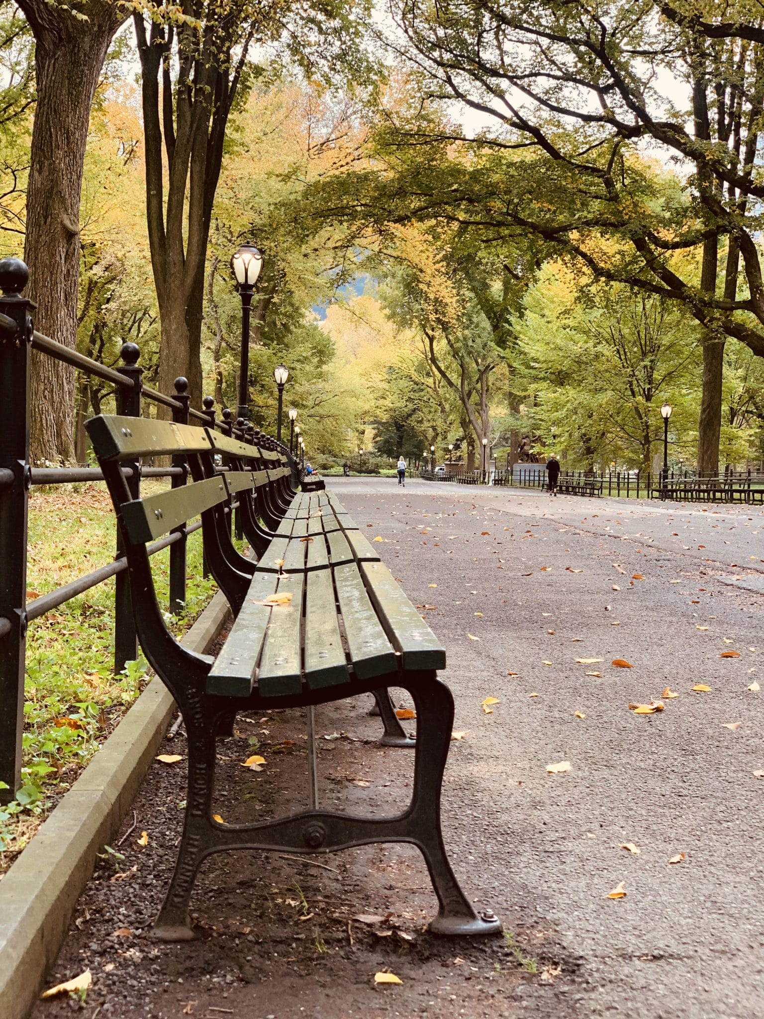central park in fall