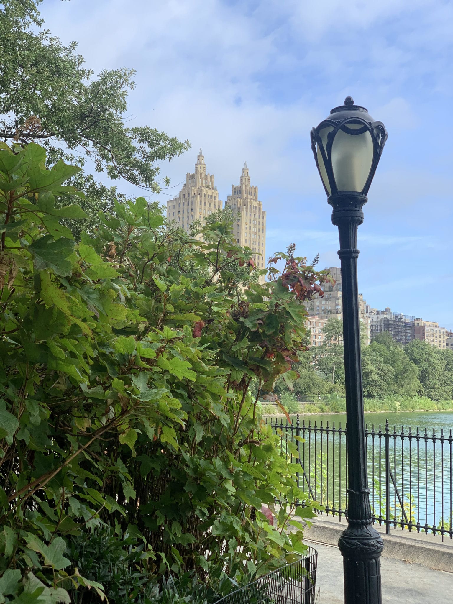 central park jackie o reservoir