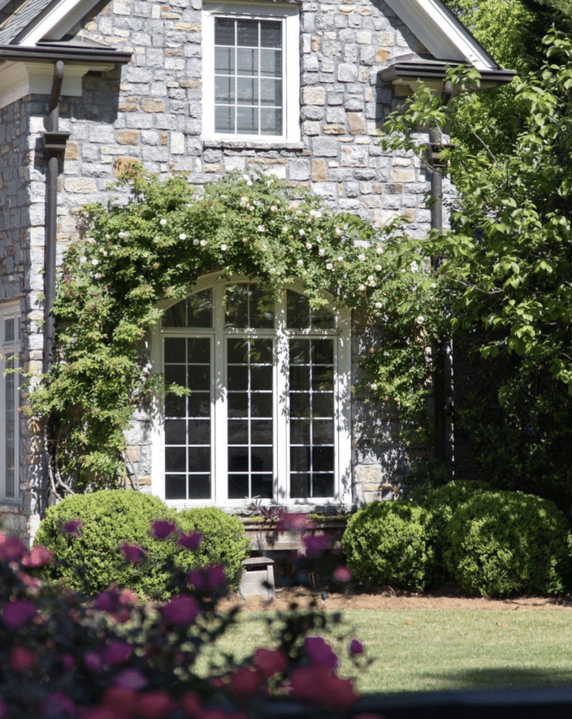 ivy covered house