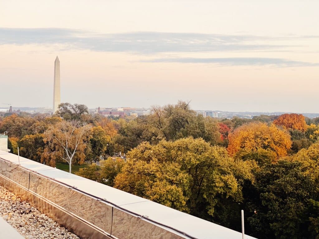 view of washington monument from constitution ave in dc