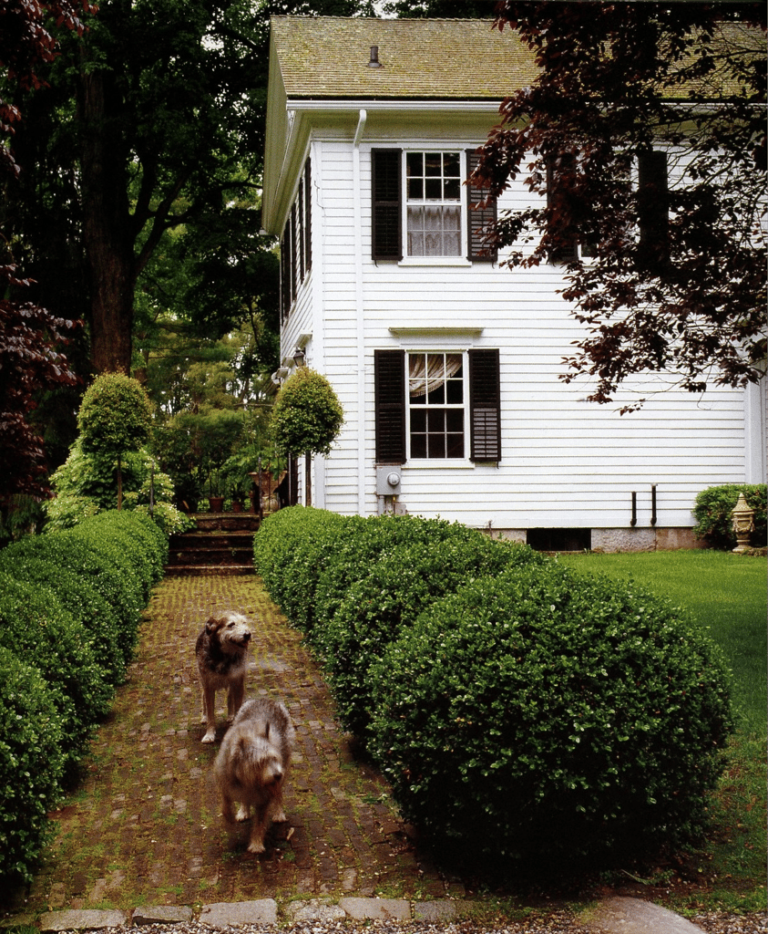 dogs outside of farmhouse