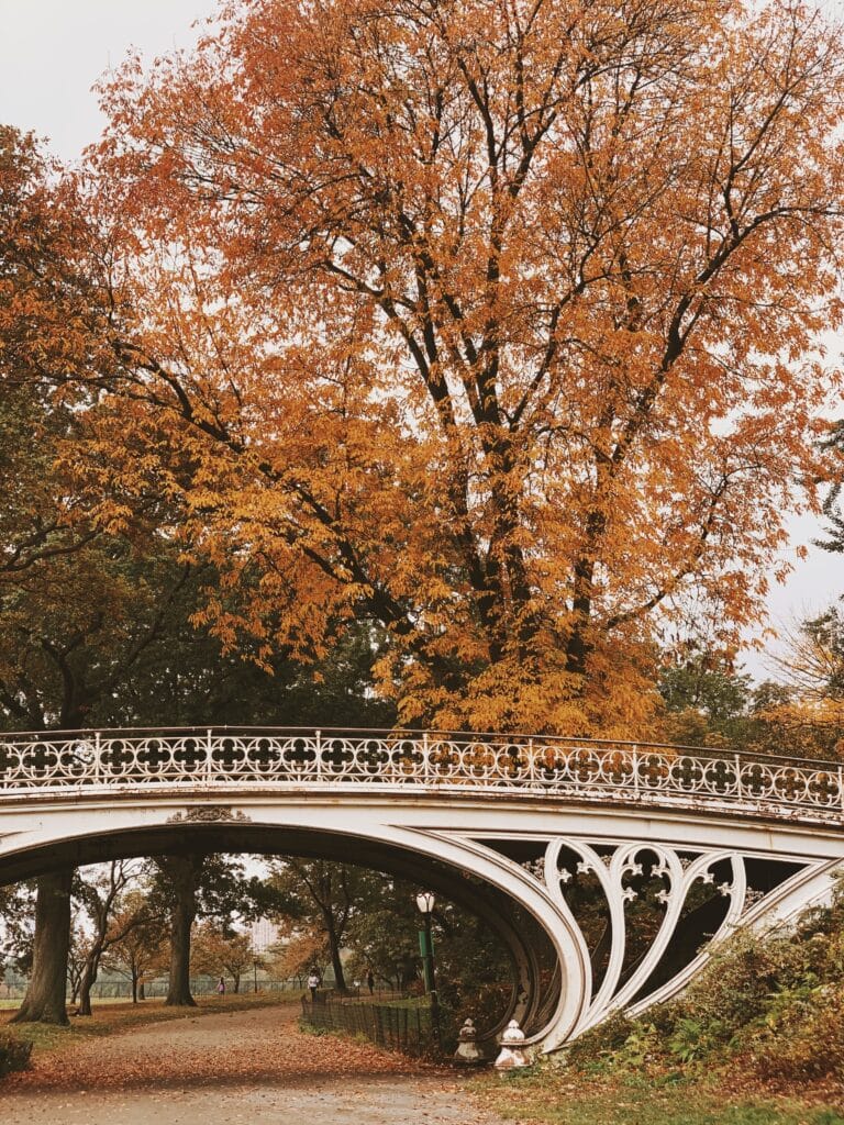 central park october