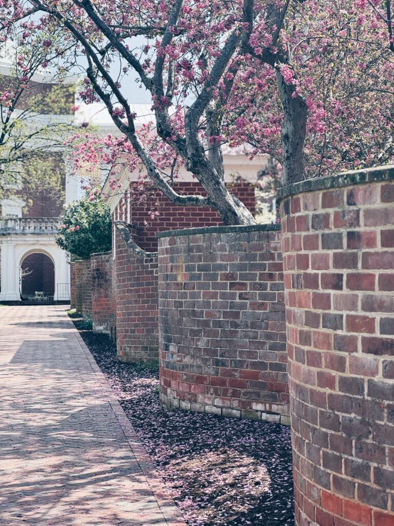 SERPENTINE WALLS, CHARLOTTESVILLE, VA