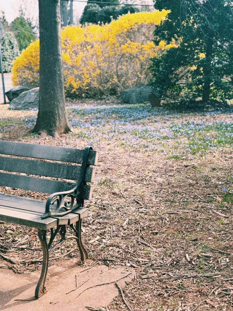 park bench next to wildflowers