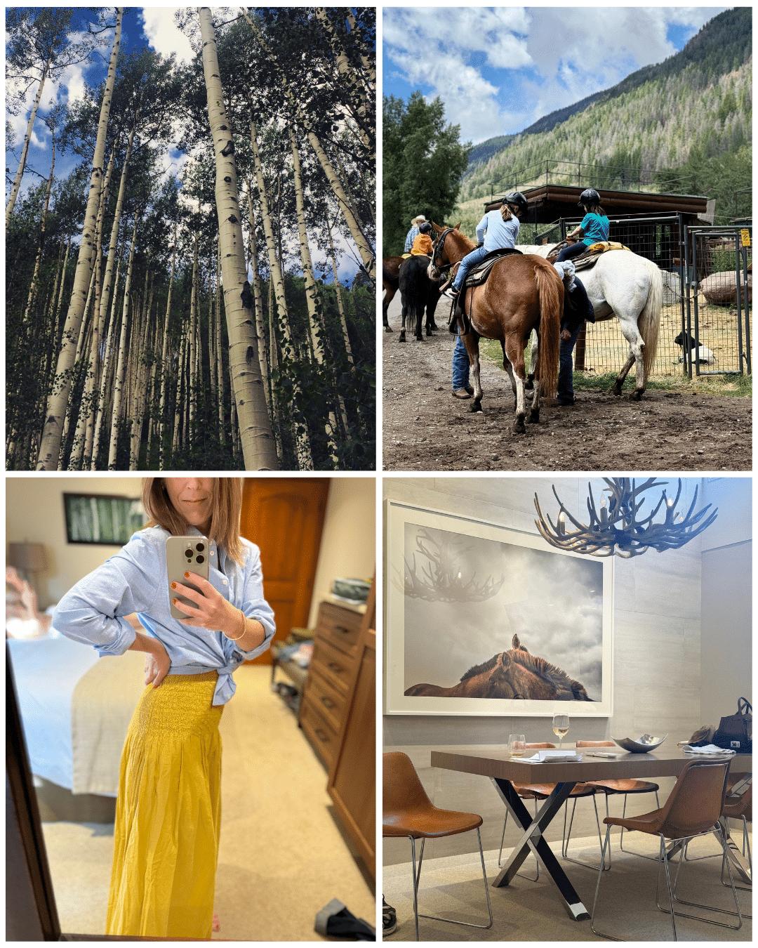 aspen colorado in the summer photos