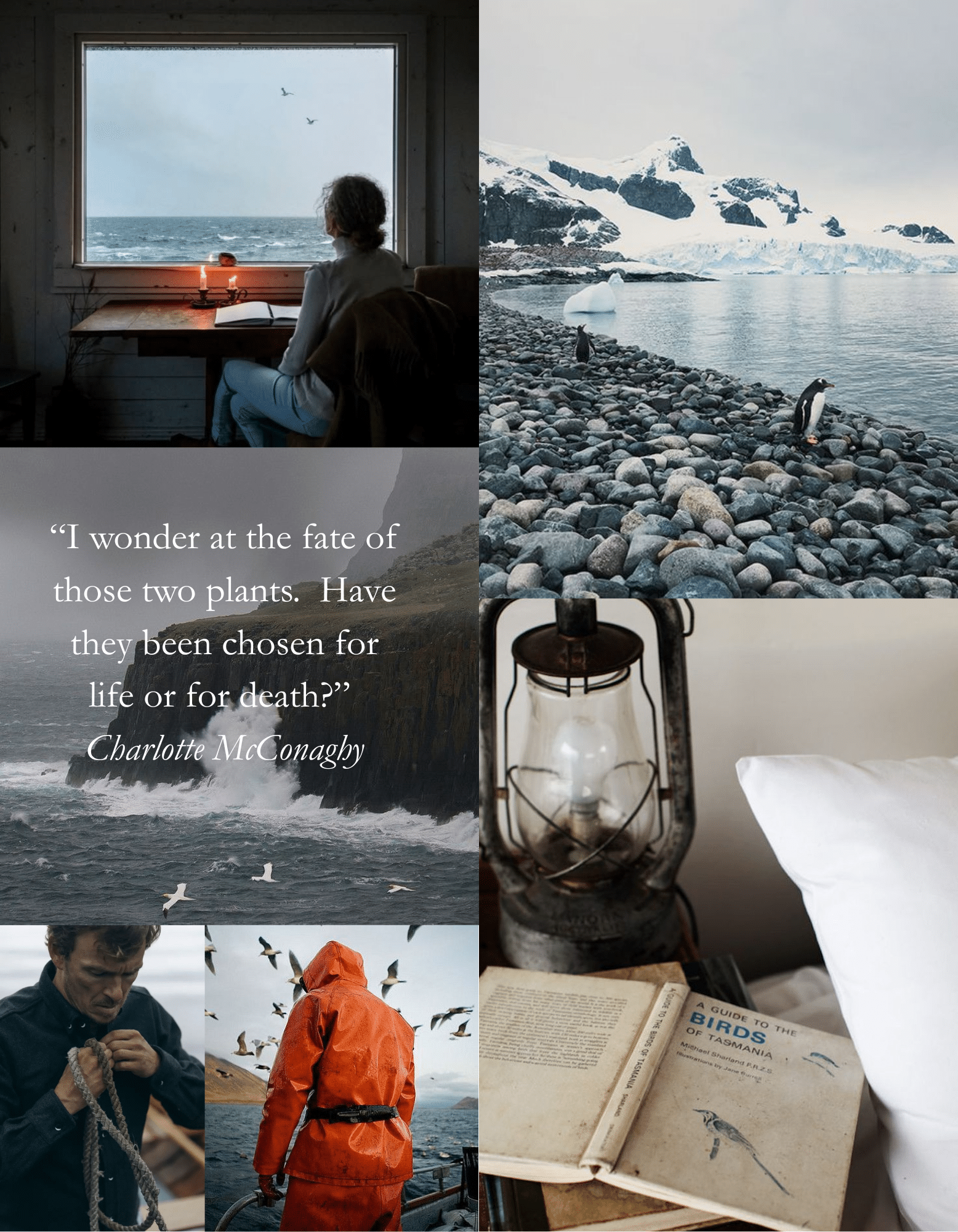 wild dark shore moodboard