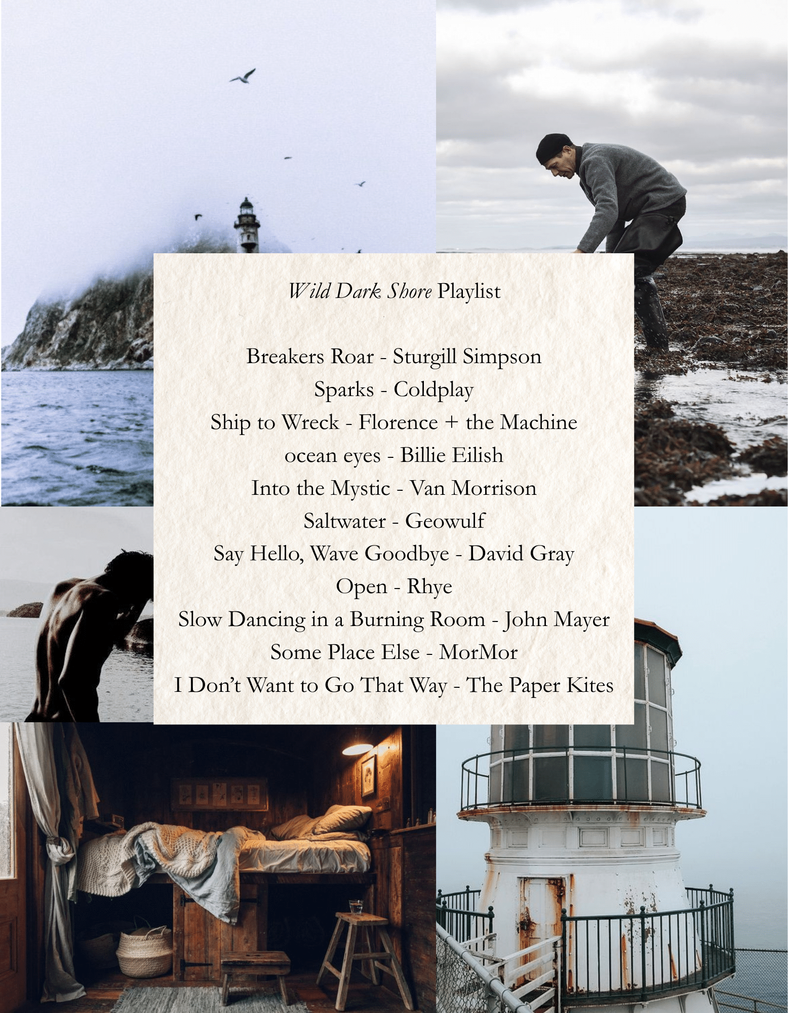 wild dark shore playlist