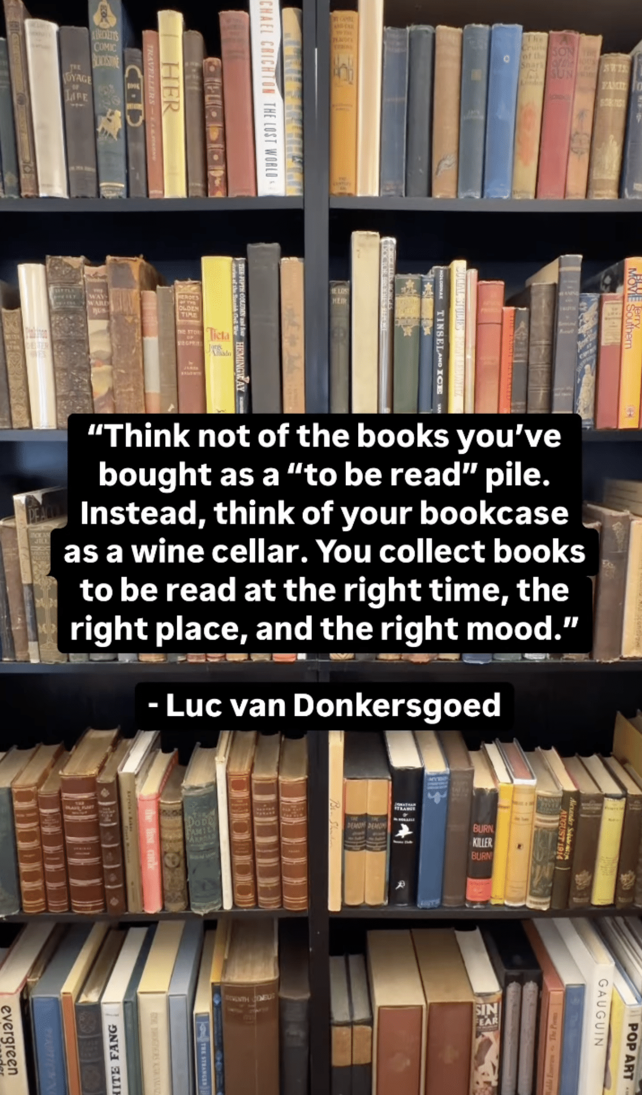 quote about tbr piles
